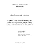Nghiên cứu hoạt động tín dụng tại chi nhánh NHNo&PTNT Kim Ngân, tỉnh Đắk Lắk