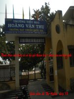 TỰ NHIÊN VÀ XÃ HỘI LỚP 3 TUẦN 27  BÀI CHIM