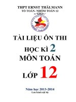 TÀI LIỆU ÔN THI HỌC KÌ 2 MÔN TOÁN LỚP 12