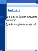 tiết 52 vệ sinh mắt