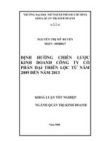 Định hướng chiến lược kinh doanh công ty cổ phần Đại Thiên Lộc từ năm 2009 đến năm 2013