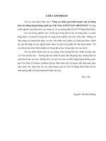 Nâng cao hiệu quả kinh doanh vận tải hàng hóa của hãng hàng không quốc gia Việt Nam (VIETNAM AIRLINES)