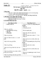 GA lớp 1 tuần 23,24 - Trần Thị Hải Yến - TH Tân Lập HY