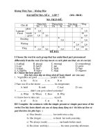 Kiểm tra Định Kỳ Tiếng Anh 7