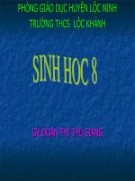 Tiết 32 : Trao đổi chất