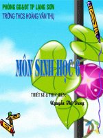 bai 45 nguon goc cay trong