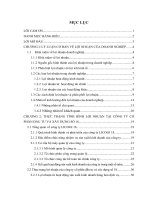 báo cáo thực tập: Giải pháp tăng lợi nhuận tại công ty cổ phần đầu tư và xây dựng số 18
