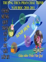 bài 24. tiêu hóa và các cơ quan tiêu hóa