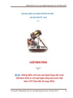 Những điểm mới của Luật Ngân hàng nhà nước Việt Nam 2010