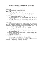 ĐỀ THI TỈNH LỚP 5 - NĂM 2010 - 2011