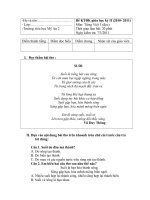 ĐỀ KIỂM TRA TV 3 GHKII (ĐỌC HIỂU) - HDC 2010- 2011