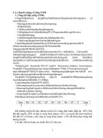 BÁO cáo THỰC HÀNH lập TRÌNH hệ THỐNG  visual basic 6.0