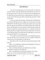 báo cáo tốt nghiệp:Tình hình thực hiện các chỉ tiêu kế hoạch tại chi nhánh NHNoPTNT Tỉnh Bắc Cạn năm 20082010