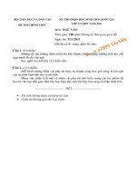 Đề thi chọn HSG Quốc gia 2011 môn Ngữ Văn