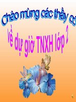 TNXH. LOP 3. LOAI VAT SONG O DAU