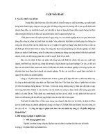 Công tác lập và phân tích báo cáo tài chính tại công ty Cổ phần Điện lực Khánh Hòa