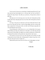 Hoàn thiện thủ tục hải quan đối với hàng hóa nhận gia công tại Việt Nam cho thương nhân nước ngoài (nghiên cứu tại Chi cục Hải quan Gia Thụy)