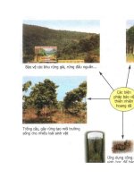 Hình ảnh Sinh Học 9 - Hot