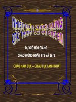 chau nam cuc - chau luc lanh nhat