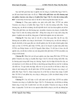 Phát triển phối thức xúc tiến thương mại  sản phẩm vitaestra của công ty cổ phần Bảo Ngọc Việt Úc trên thị trường miền Bắc