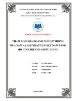 Thẩm định giá doanh nghiệp trong mua bán và sáp nhập tại Việt Nam bằng mô hình hiện giá điều chỉnh (Chuyên đề tốt nghiệp Trường Đại Học Kinh Tế, 2013)
