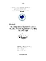 Thẩm định giá trị thương hiệu Traphaco cho mục đích quản trị thương hiệu ( Chuyên đề tốt nghiệp  Trần TP.HCM  Trường Đại Học Kinh Tế)