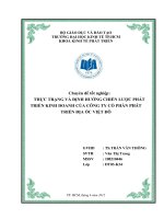 Thực trạng và định hướng chiến lược phát triển kinh doanh của Công ty Cổ phần Phát triển Địa ốc Việt Đô
