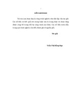 Nâng cao hiệu quả cho vay doanh nghiệp xuất nhập khẩu tại Ngân hàng TMCP Sài Gòn Thương Tín - Chi nhánh Đông Đô