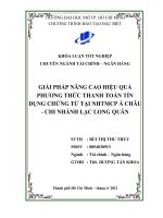 Giải pháp nâng cao hiệu quả phương thức thanh toán tín dụng chứng từ tại Ngân hàng TMCP Á Châu - Chi nhánh Lạc Long Quân