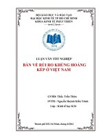 Bàn về rủi ro khủng hoảng kép ở Việt Nam  Chuyên đề tốt nghiệp  TP.HCM  Trường Đại Học Kinh Tế