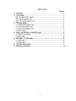 RÈN GHI NHỚ BẢNG CHỮ CÁI BẰNG HÌNH ẢNH TRỰC QUAN Ở HỌC SINH LỚP MỘT1 TRƯỜNG TIỂU HỌC VÀ TRUNG HỌC CƠ SỞ THIỆN MỸ.