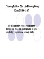 Bài thuyết trình các nhóm vi sinh vật gây bệnh thường gặp trong môi trường nước  vi sinh vật chỉ thị, ý nghĩa của vi sinh vật chỉ thị