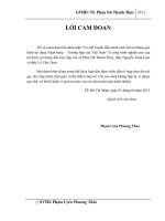 Cơ chế truyền dẫn tác động chính sách tiền tệ thông qua kênh tín dụng Trường hợp Việt Nam ( Chuyên đề tốt nghiệp TP.HCM  Trường Đại Học Kinh Tế )