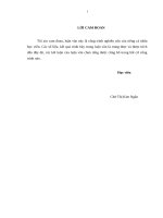 Chiến lược phát triển thị trường nội địa nhóm sản phẩm gạch ốp lát của Công ty cổ phần CMC