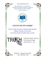 Chất lượng tín dụng trong môi trường thông tin bất cân xứng tại ngân hàng thương mại Á Châu ( Chuyên đề tốt nghiệp  TP.HCM  Trường Đại Học Kinh Tế )