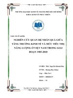 Nghiên cứu quan hệ nhân quả giữa tăng trưởng kinh tế và mức tiêu thụ năng lượng ở Việt Nam trong giai đoạn 1985 - 2010