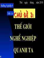 Hường nghiệp 9-Chủ đề 3
