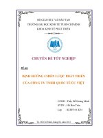 Định hướng chiến lược phát triển của Công ty Trách nhiệm hữu hạn Quốc tế Úc Việt