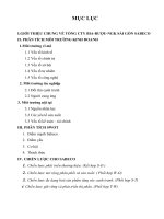 Phân tích chiến lược kinh doanh của bia rượu SABECO