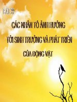 Bài 39: Các nhân tố ảnh hưởng tới sinh trưởng và phát triển của động vật (t)