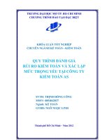 Quy trình đánh giá rủi ro kiểm toán và xác lập mức trọng yếu tại công ty kiểm toán AS