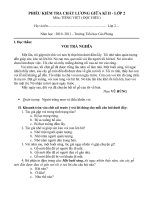 DE THI TIENG VIET GIUA KI II ( 10-11)