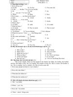 Bai kiem tra anh van lop 6