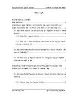 báo cáo thực tập: Hoàn thiện công tác kế toán Nguyên vật liệu tại Công ty Cổ phần Cầu trục và Thiết bị AVC