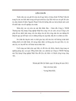 Thiết lập dự án đầu tư xây dựng nhà máy sản xuất gạch nhựa Corona của Công ty TNHH Thương mại Xây dựng công nghiệp Nhật Hoa