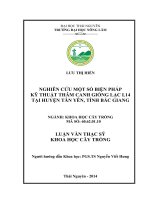 Nghiên cứu một số biện pháp kỹ thuật tham canh giống lạc L14 tại huyện Tân Yên, tỉnh Bắc Giang