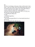 Tình Cảm Của Cha