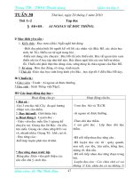 Tuan 30 - Lop 2 (Le Lien)