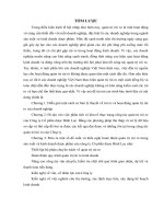 Hoàn thiện công tác quản trị rủi ro của công ty Cổ phần dược Bình Lục