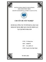 Đánh giá công tác tuyển dụng, đào tạo nhằm sử dụng hiệu quả nguồn nhân lực tại Tập đoàn Hoa Sen  Chuyên đề tốt nghiệp  Võ TP.HCM  Trường Đại Học Kinh Tế